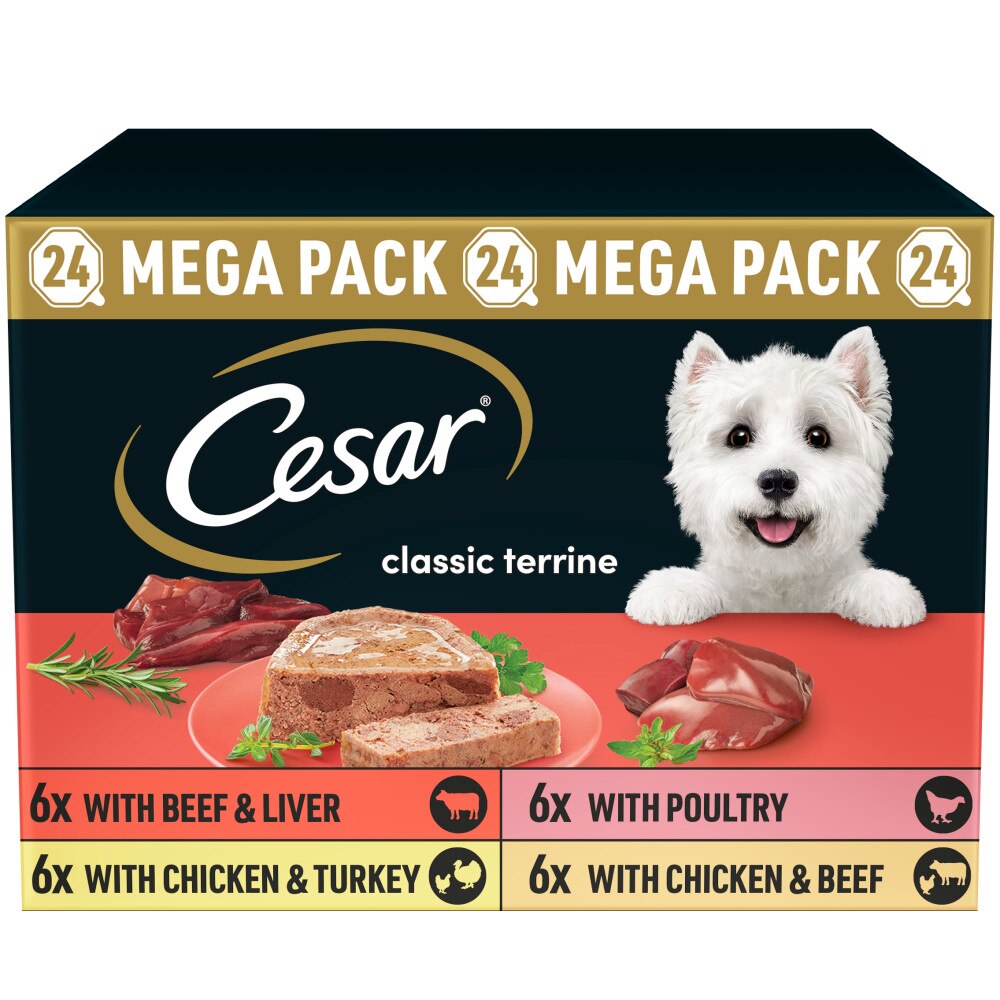 Cheapest cesar dog food deals
